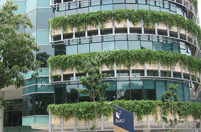 新加坡第四所大學